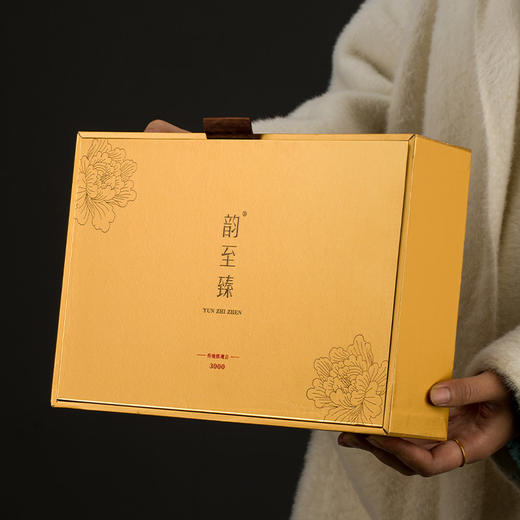 【传统3000】韵至臻 传统工艺 清香型铁观音 传统3000 礼盒装 商品图7