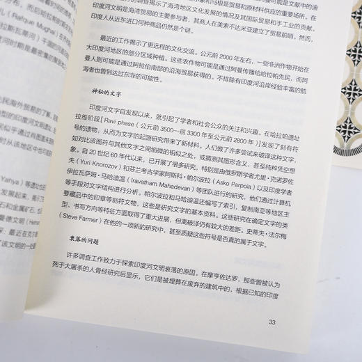 《失落的神秘之地：古印度河文明》 商品图3