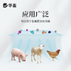 【朋友圈专享】华畜百毒消600g  净化空气 孕畜可用 烟熏消毒剂可带畜使用 商品缩略图3