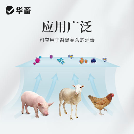 【朋友圈专享】华畜百毒消600g  净化空气 孕畜可用 烟熏消毒剂可带畜使用 商品图3