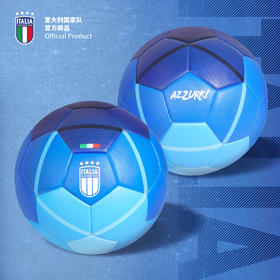 【官方正版】意大利国家队 | 渐变足球标准5号实战球收藏礼物