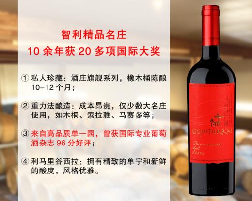 【现货促销，售完无补】【曾获权威96分】智利精品名庄：欧德拉酒庄私人珍藏西拉干红（2020年） 商品图0