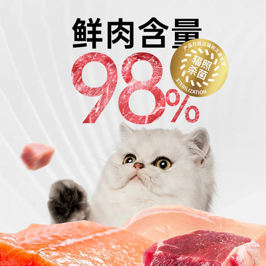 IGG无谷猫罐头 主食罐头幼猫成猫通用猫咪零食罐头 98%含肉量   100g*6罐 商品图1