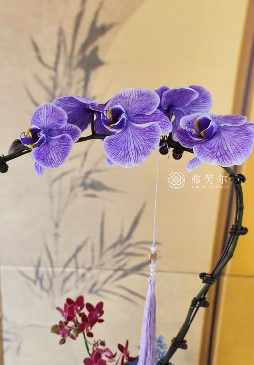 JT如花似玉 商品图1