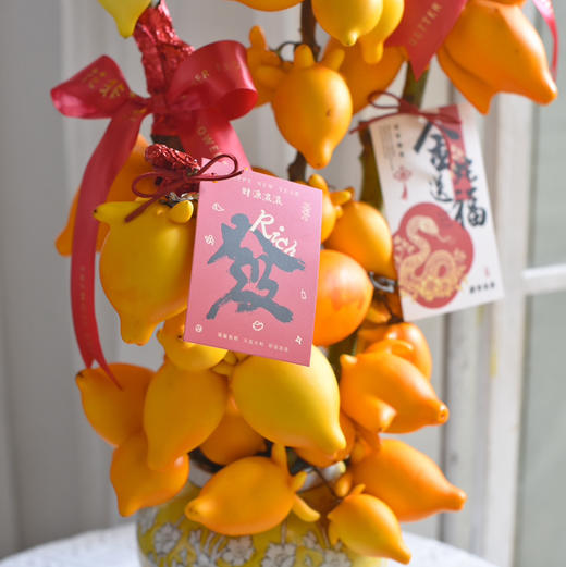 《福禄满堂》五代果年宵花（需提前5天预定） 商品图5