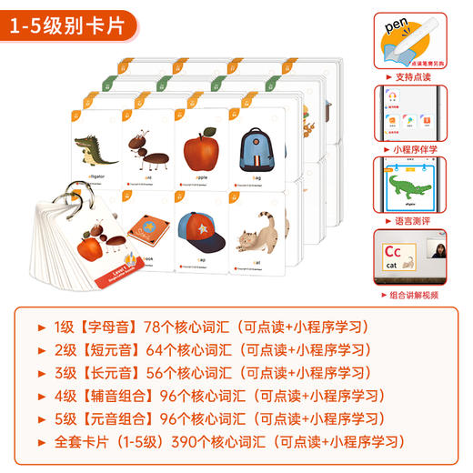 efl phonics 自然拼读挂图 卡片 绘本 商品图3