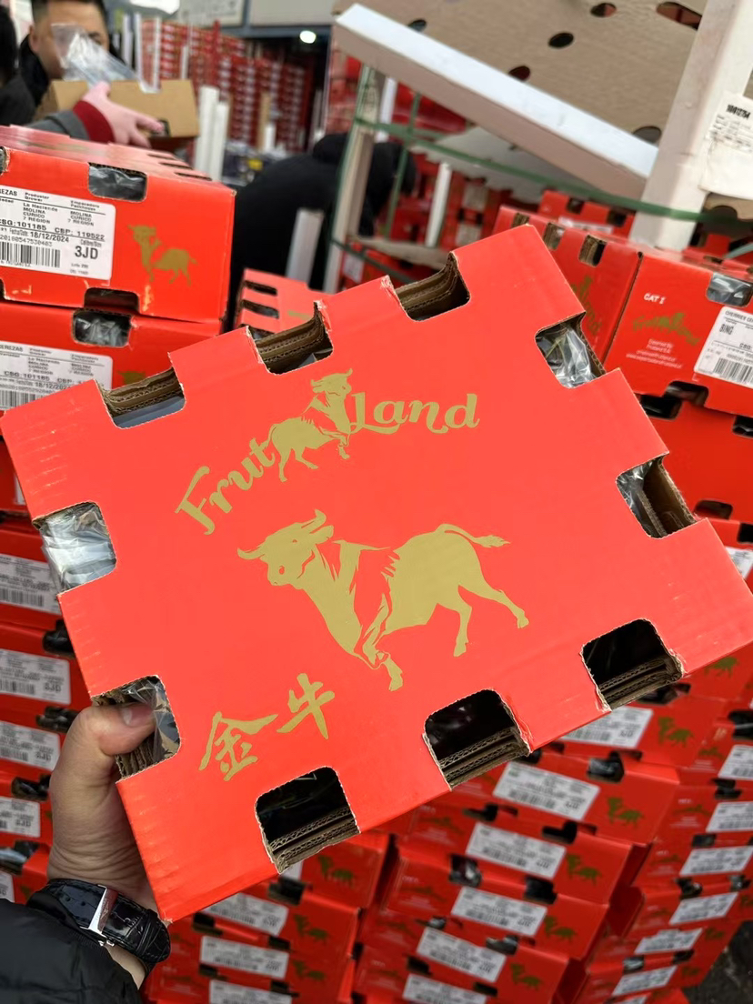 金牛纯冰3J黑车厘子🎁