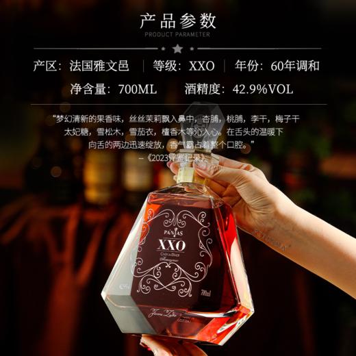 【欧洲知名雅文邑品牌】庞雅系列白兰地 法国雅文邑产区 CCTV央视合作品牌 商品图7
