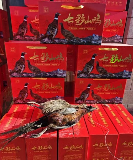 七彩山鸡一箱（一公一母） 商品图0