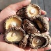 特级香菇250g 商品缩略图1