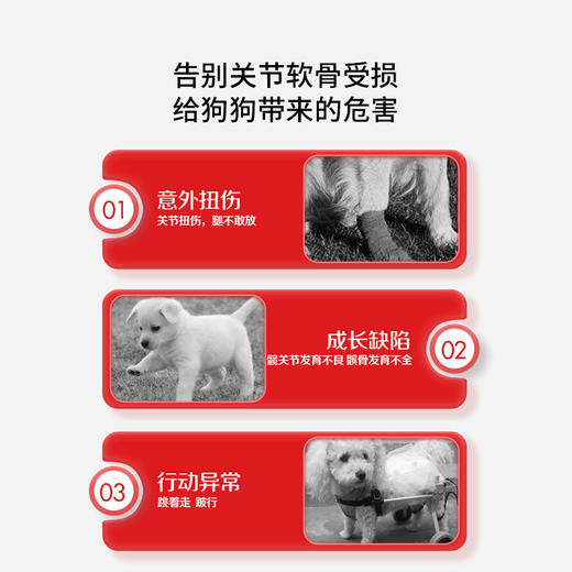 谷登鲨鱼软骨素颗粒（犬）180g 商品图1