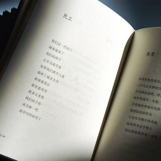 含亲签本 手持人间一束光精装王计兵央视春晚素人草根写作全新诗歌中国当代诗歌梁永安倾情推荐诠释外卖骑手生命内涵与价值 人民文学出版社 商品图4