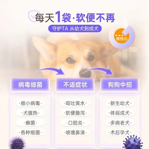 【第二件半价 送肠胃宝5g*10袋*1】谷登乳铁蛋白高免因子（犬用）1g*30袋 商品图4