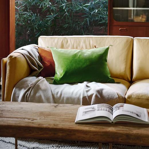 伽罗 JALO 纯棉丝绒鸭毛内胆填充装饰抱枕 商品图2