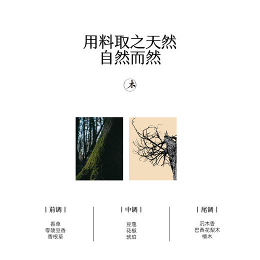 节日礼盒 | 乌木沉香套装室内扩香持久创意家居小众卧室香氛生日礼品 商品图4