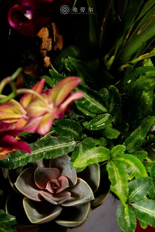 祥蛇兆瑞 商品图6