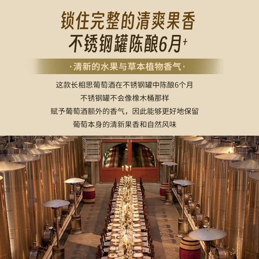 【菲利普·罗斯柴尔德男爵集团出品】智利红盾珍藏长相思白葡萄酒 智利 13%vol 商品图9