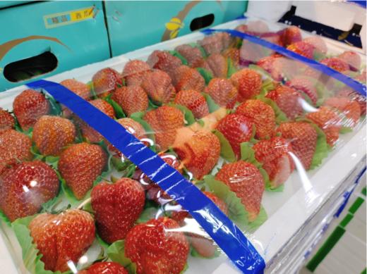 蓝胶带大板草莓一箱 商品图0