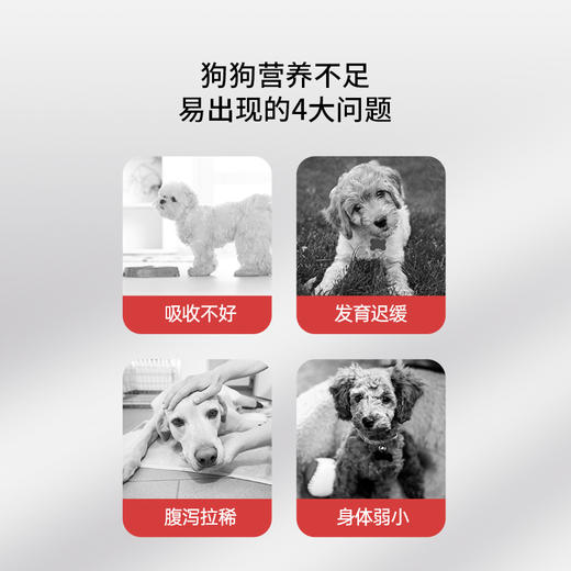 【2罐加送赠品 需要奶瓶下单备注】谷登天然亲护配方羊奶粉（犬用）200g 商品图1