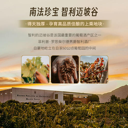 【菲利普·罗斯柴尔德男爵集团出品】智利红盾珍藏长相思白葡萄酒 智利 13%vol 商品图7