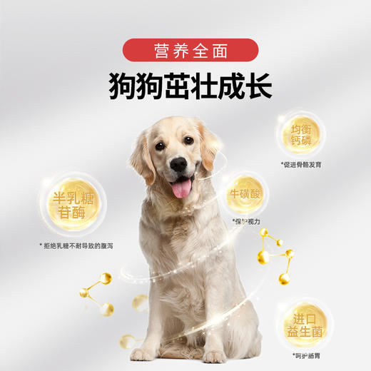【2罐加送赠品 需要奶瓶下单备注】谷登天然亲护配方羊奶粉（犬用）200g 商品图4