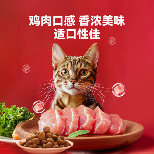 【2罐加送赠品】谷登卵磷脂鱼油颗粒（猫用）300g 商品图2