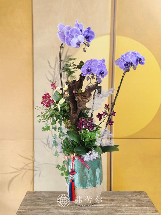 JT财运亨通 商品图0