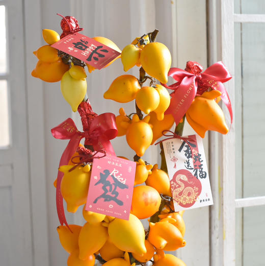 《福禄满堂》五代果年宵花（需提前5天预定） 商品图3