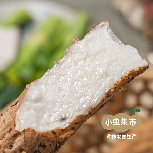 粤北瑶山野鲜山药 3斤装 | 合作农友生产，来自广东连南瑶族自治县，生产者：张运东 *【公平贸易农人定价】 商品图2