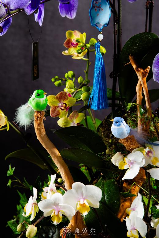 蛇力出圈 商品图1