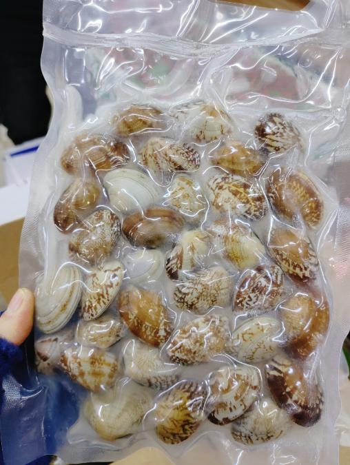 花哈一箱10袋（蚬子） 商品图1