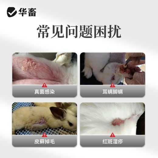 华畜兔子撒窝粉兔用感染幼兔红点掉毛脱毛皮屑养兔子幼兔兔场用品 商品图1