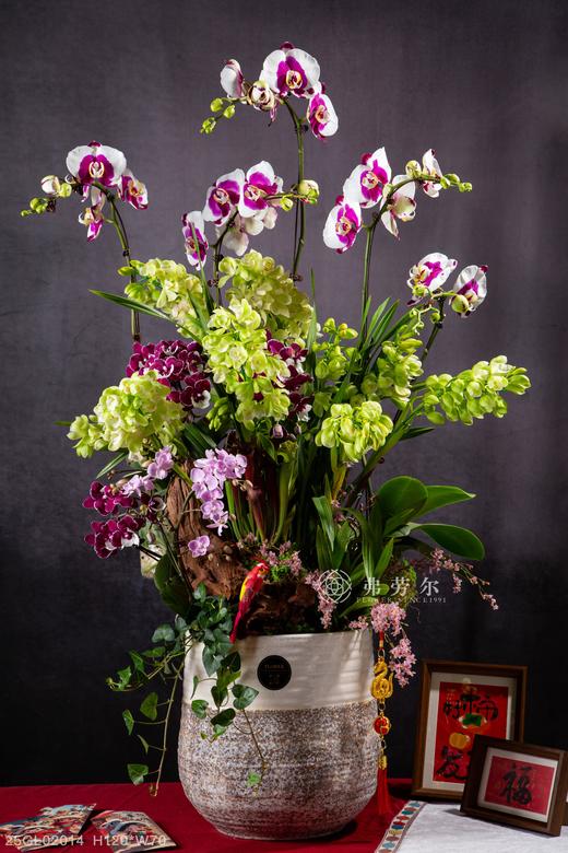 蛇舞添新景 商品图0