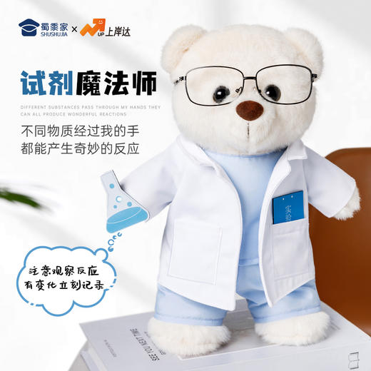 【实验员站姿熊】可定制创意毛绒职业小熊公仔儿童玩具服装可脱送礼礼物 商品图2