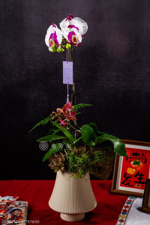 金蛇聚势 商品图0