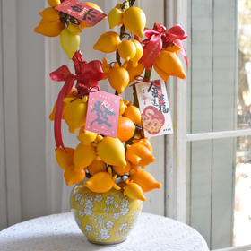 《福禄满堂》五代果年宵花（需提前5天预定）