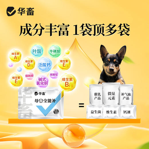 华畜 母狗全能补 成分多营养足 免疫强少生病 补气血奶水足 强骨骼幼犬壮 商品图2