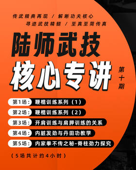 陆师武技核心专讲 十