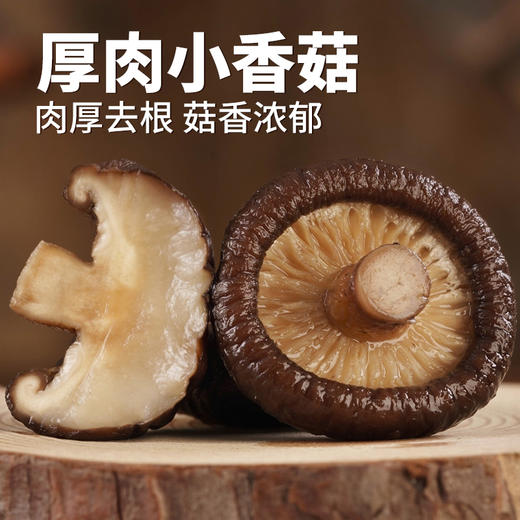 在菌屋 小香菇云南特产干货500g 无根肉厚 菇香浓郁 商品图0