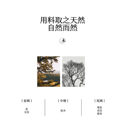 节日礼盒 | 烟熏圣木套装室内扩香持久创意家居小众卧室香氛生日礼品 商品图3