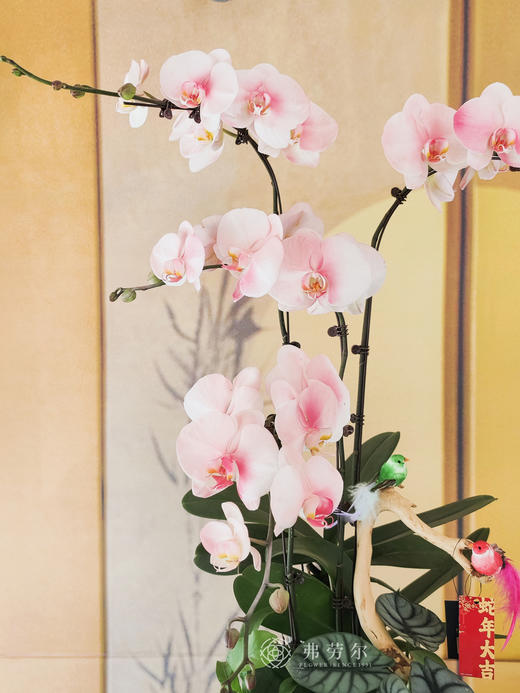 新春快乐 商品图2