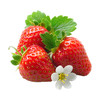 丹东红颜草莓11-15头（线下自提） 商品缩略图1