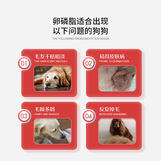 【2罐加送赠品】谷登秘鲁小鱼颗粒（犬用）450g 商品图1