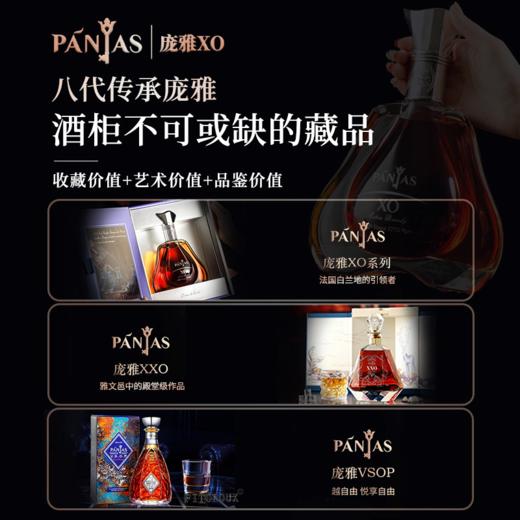 【欧洲知名雅文邑品牌】庞雅系列白兰地 法国雅文邑产区 CCTV央视合作品牌 商品图4