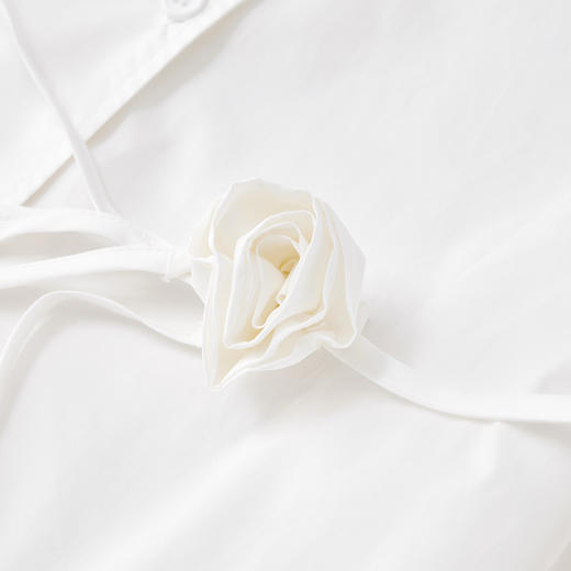 IEF/爱依服2025上衣 春季 韩版高个子通勤风小众设计感中衬衫BG0132 商品图3