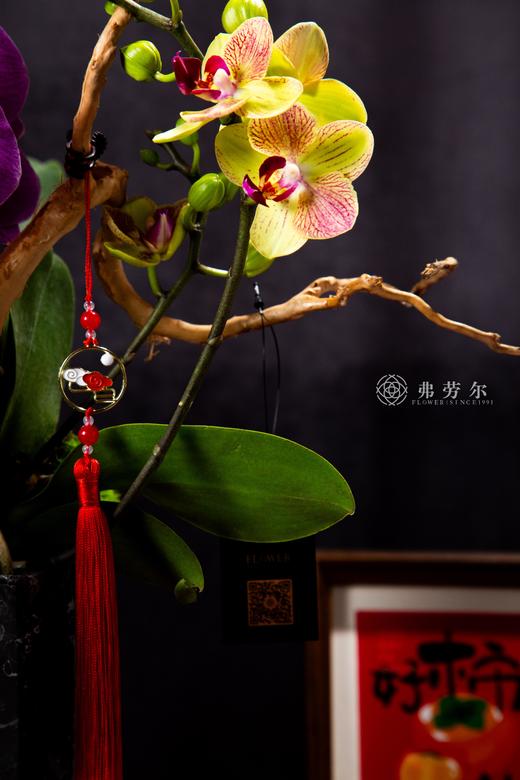 金蛇送喜 商品图3