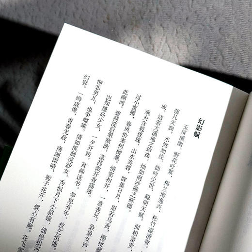 繁露映春晖 斯阳 古体诗 格律诗 词牌 乡愁乡情 商品图12