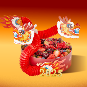 双龙腾飞（春节限定）