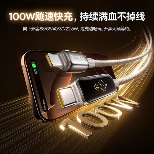 倍思 电量可视化系列 快充数据线 Type-C to Type-C 100W 商品图2