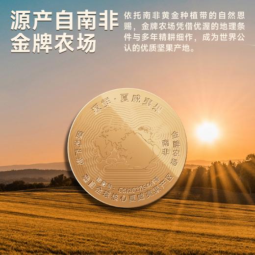 大满高端线_罐装夏威夷果/奶香味/280g-zl 商品图7